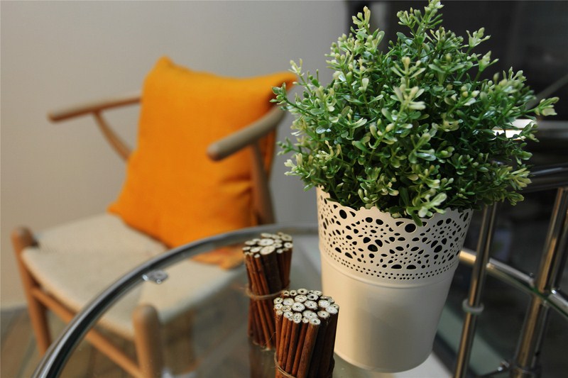 IMG_6764_����